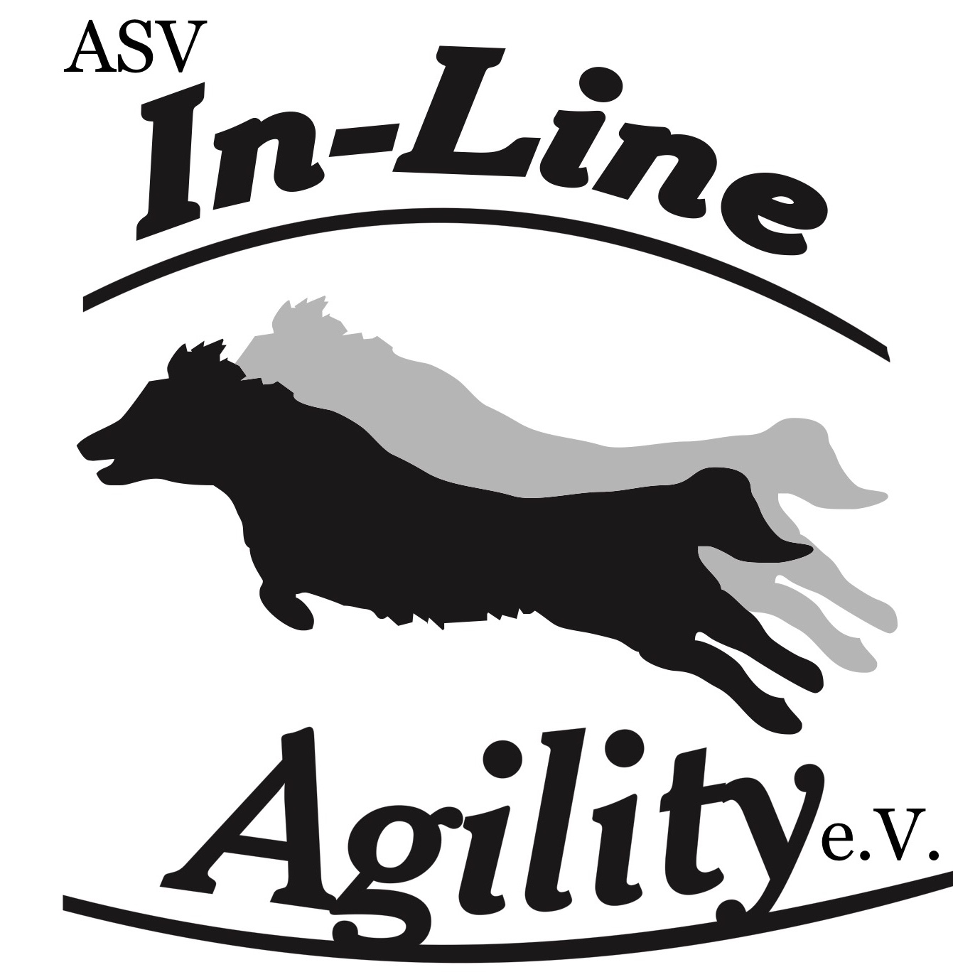 ASV In-Line Agility e.V. Mitglied im DVG e.V.